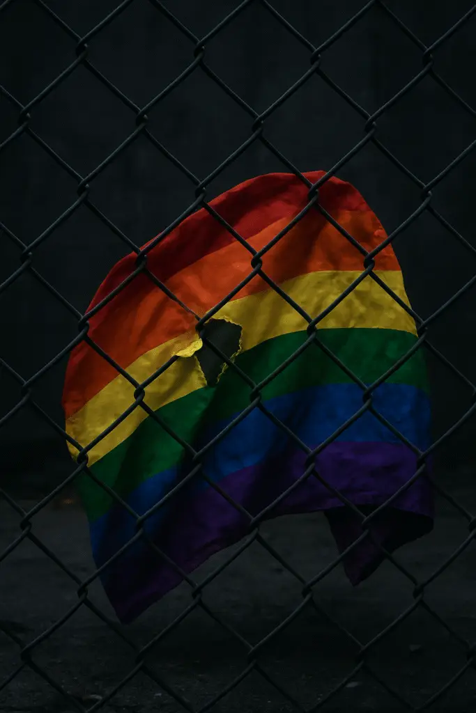 Excluded by Law, Hunted by Society: LGBTQ Rights Still Denied